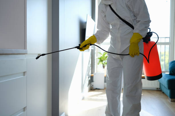 Best Crawl Space Mold Removal  in Sughter, LA