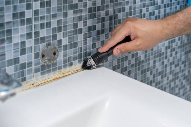 Mold Testing and Removal in Slaughter, LA