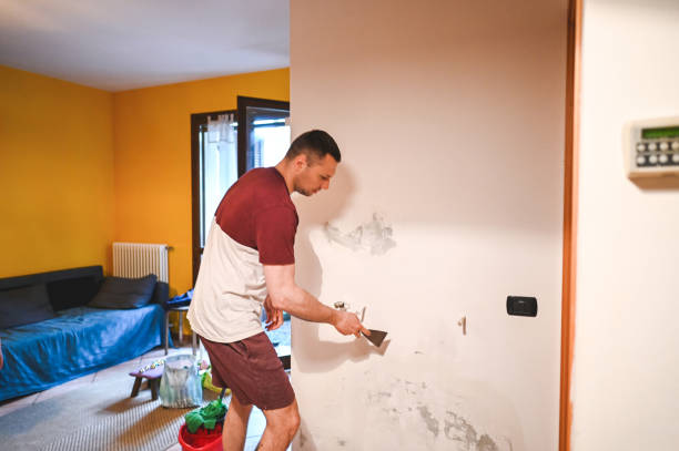 Best Professional Mold Removal  in Sughter, LA